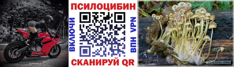 Галлюциногенные грибы мухоморы  Хасавюрт 